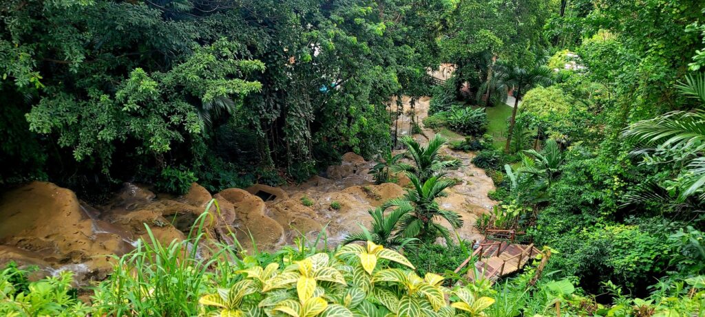 Picturesque waterfall in a lush green tropical forest. Jamaica.